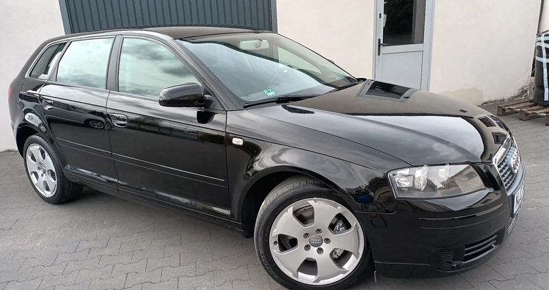 Audi A3 cena 21999 przebieg: 200840, rok produkcji 2008 z Inowrocław małe 742